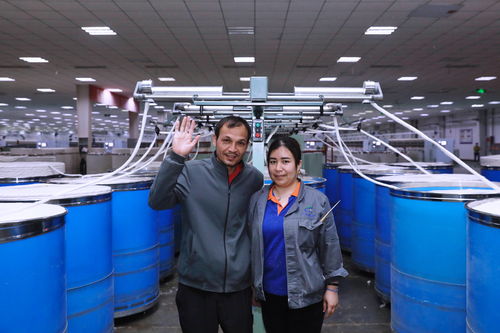 实地探访新疆棉春播和生产车间,见证一朵新疆棉的成长