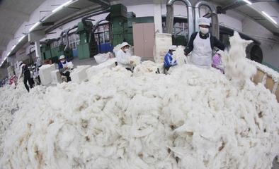 亚马逊下架中国棉织品?大部分华人店铺淡定,仅东南亚就能吞了它